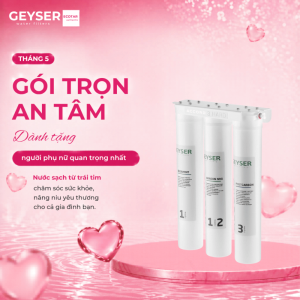 Máy lọc nước chuẩn khoáng Geyser Ecotar Accord 3 Hard cho máy pha cafe