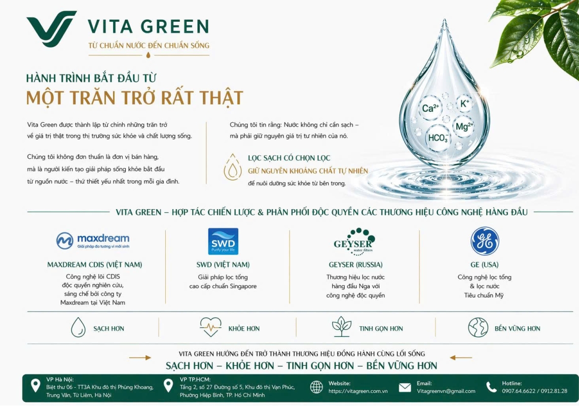 Vita Green được hình thành từ đâu?